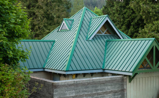 Best Skylight Installation and Repair  in Clarkston, GA
